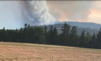 Wildfire Evacuation: A First-Hand Account from Annissa Coy
