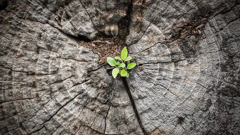 breathing new life into existing assets