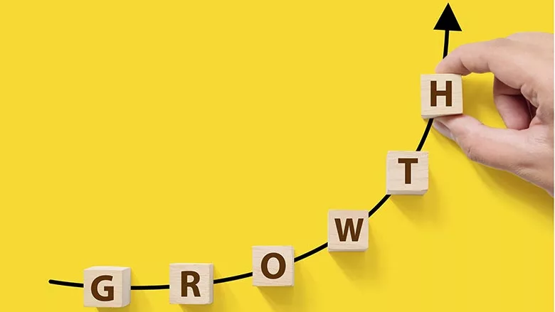 business growth
