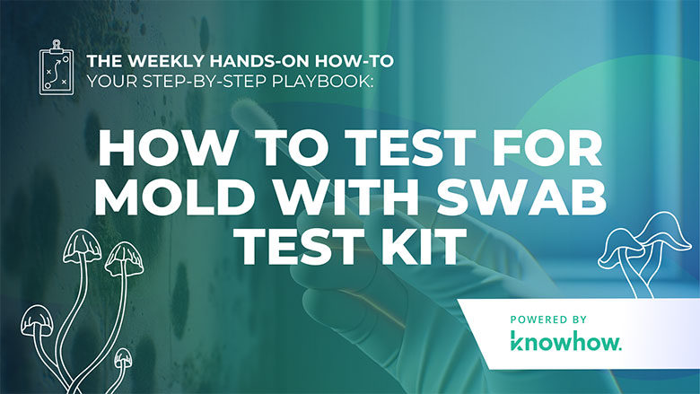 Weekly Hands-On How-To: How to Test for Mold with Swab Test Kit