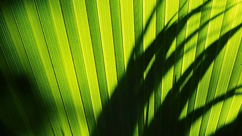 sustainable materials