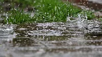 Rain is falling in a puddle in a garden