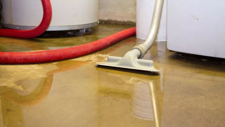 water on basement floor
