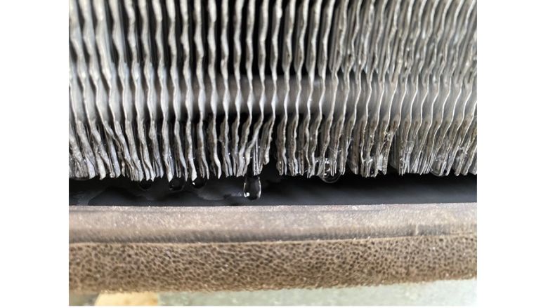 refrigerant dehumidifier