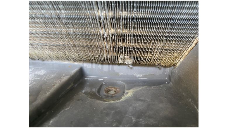 refrigerant dehumidifier