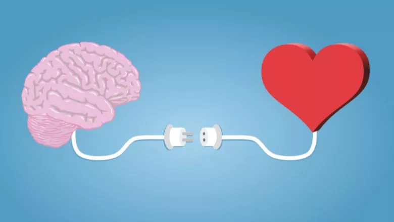 Connection between brain and heart