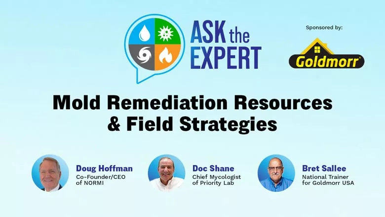 Mold Remediation Resources & Field Strategies