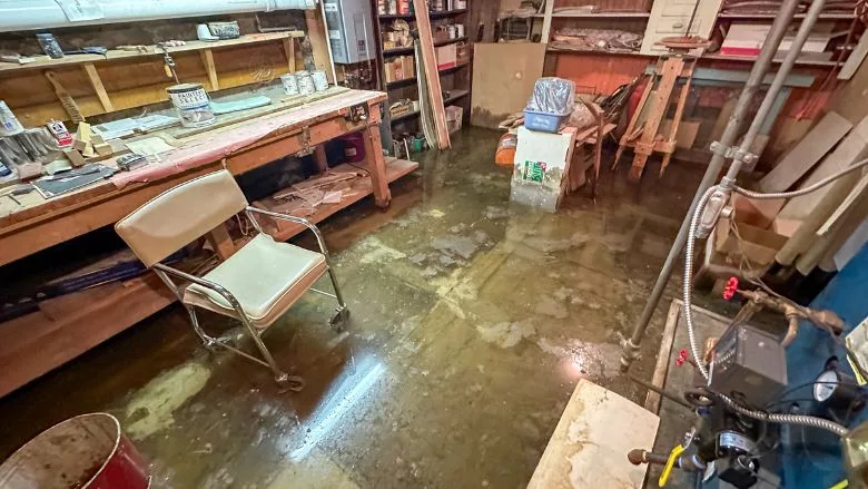 A flooded basement after an irrigation leak 