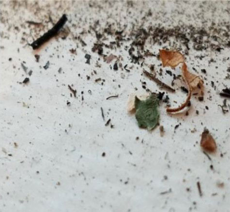 combustion byproducts