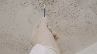 mold sampling
