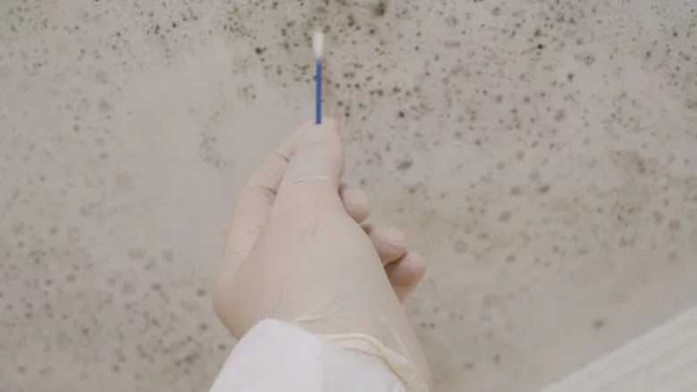 mold sampling mold sampling