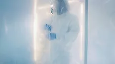 Scientist in clean coat checking biohazardous substance