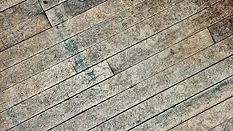Rustic Floor
