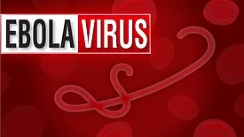 Ebola Outbreak Warning News Alert sign with close up of Ebola microbe and blood stream 