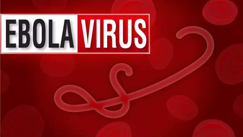 Ebola Outbreak Warning News Alert sign with close up of Ebola microbe and blood stream 