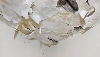 Damp ceiling Damp ceiling