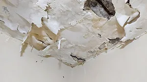 Damp ceiling Damp ceiling