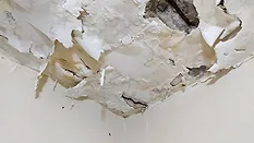 Damp ceiling