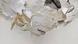Damp ceiling