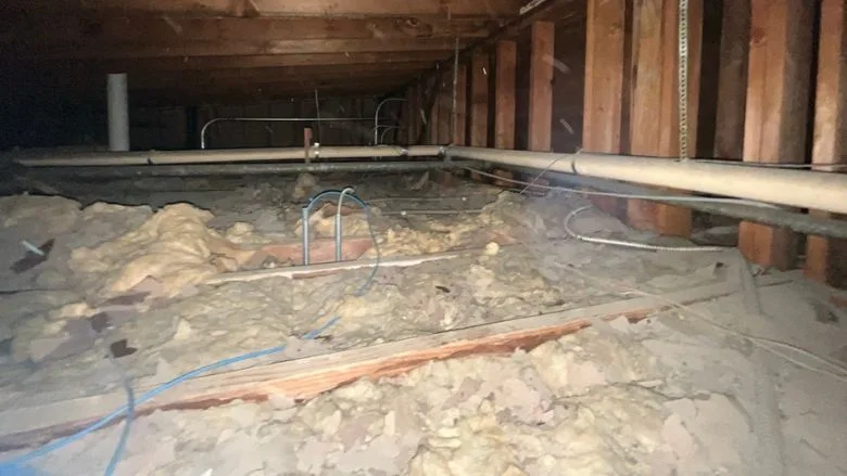 Photo of Attic/Crawl space with insulation and exposed framing Photo of Attic/Crawl space with insulation and exposed framing