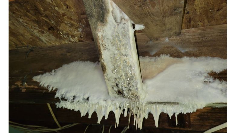 Piping covered in white fuzzy substance that is actually mold