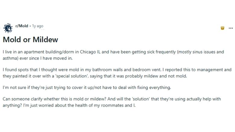 Reddit post on Mold vs Mildew