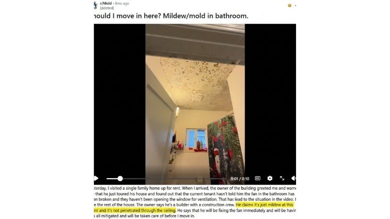 Screenshot of social media post asking if someone should move in with this mold or mildew issue