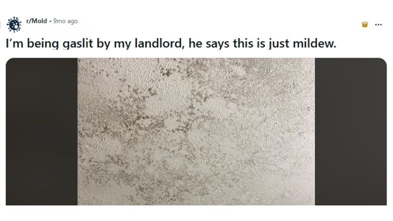Screenshot of a social media post showing a mold-covered apartment wall