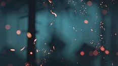 3D rendering of embers of fire in front of forest at night