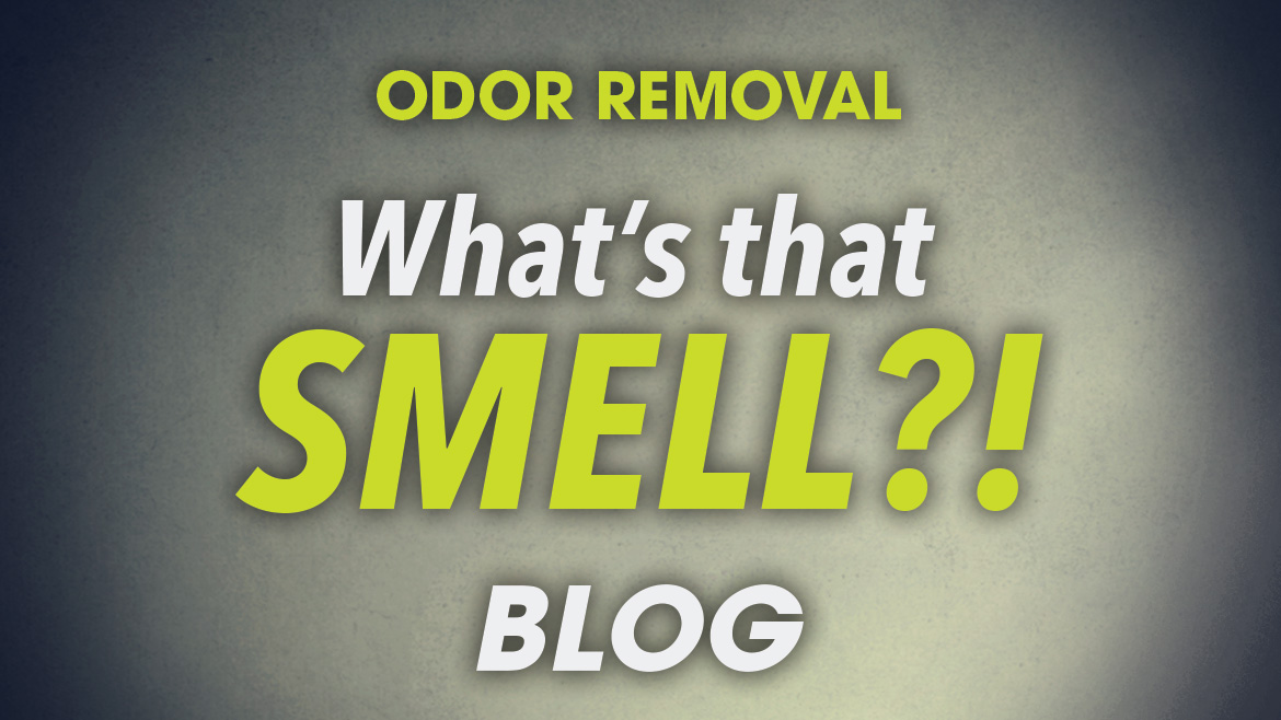 What's That SMELL?! Blog Sponsored by Odorox