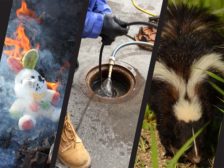 removing odors from smoke, sewage and skunk