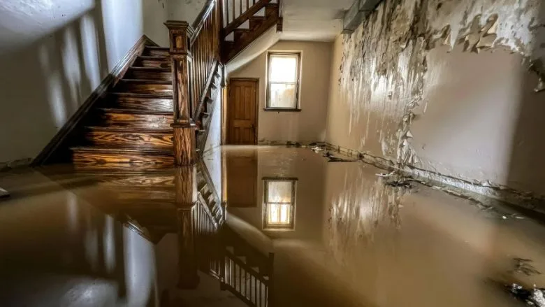 Water Damage Project with flooded home with stairs